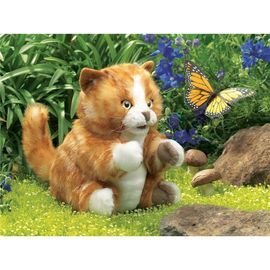 TITERE GATO RAYADO ORANGE TABBY KITTEN UNILAT