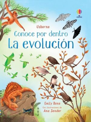 CONOCE POR DENTRO: LA EVOLUCIÓN