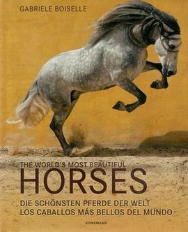 THE WORLD'S MOST BEAUTIFUL HORSES