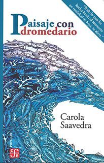 PAISAJE CON DROMEDARIO