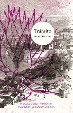 TRANSITO