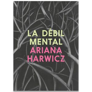 LA DEBIL MENTAL