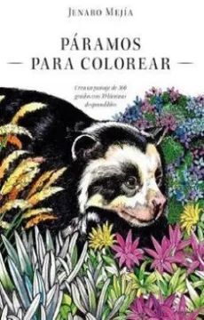 PÁRAMOS PARA COLOREAR