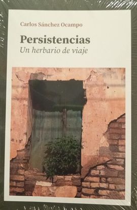 PERSISTENCIAS