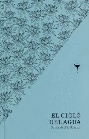EL CICLO DEL AGUA