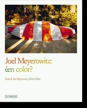 JOEL MEYEROWITZ ¿EN COLOR?