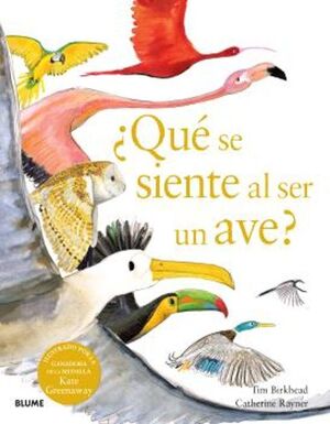 ¿QUE SE SIENTE AL SER UN AVE?