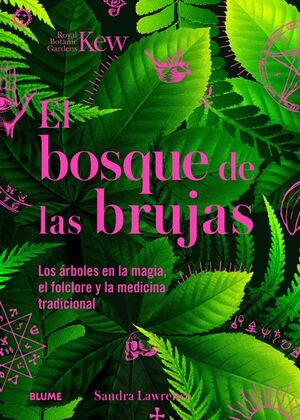 EL BOSQUE DE LAS BRUJAS