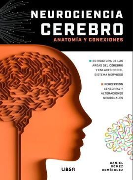 NEUROCIENCIA CEREBRO ANATOMÍA Y CONEXIÓN