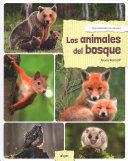 DESCUBRIENDO EL MUNDO :LOS ANIMALES DEL BOSQUE