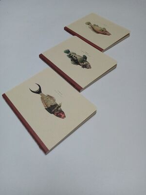 LIBRETA PECES PEQUEÑA LA LIBRETERÍA