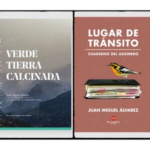 COMBO VERDE TIERRA CALCINADA + LUGAR DE TRANSITO