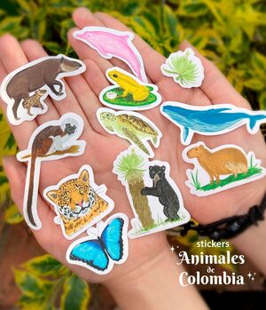 STICKERS SOBRES A VUELO DE PAJARO