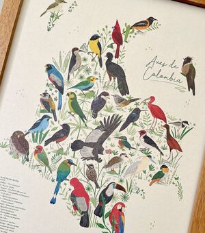 POSTER GRANDE 35 X 50 CM A VUELO DE PAJARO