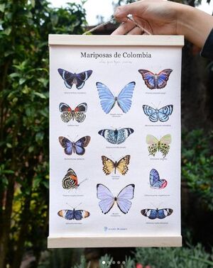 LIENZO CON MARGENES DE MADERA A VUELO DE PAJARO 25X35 CM