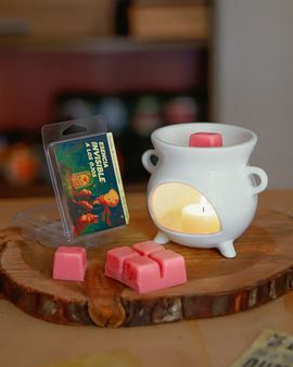 CALDERO BLANCO PEBETERO DE CERÁMICA + WAX MELTS