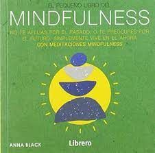 EL PEQUEÑO LIBRO DEL MINDFULNESS