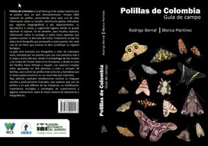 POLILLAS DE COLOMBIA