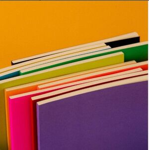 LIBRETA NEA ALARGADA