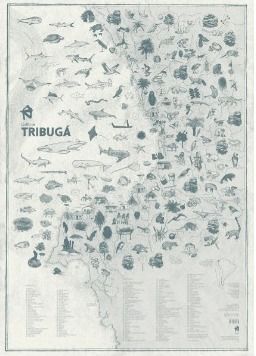 MAPA GOLFO DE TRIBUGA - MONICA NARANJO